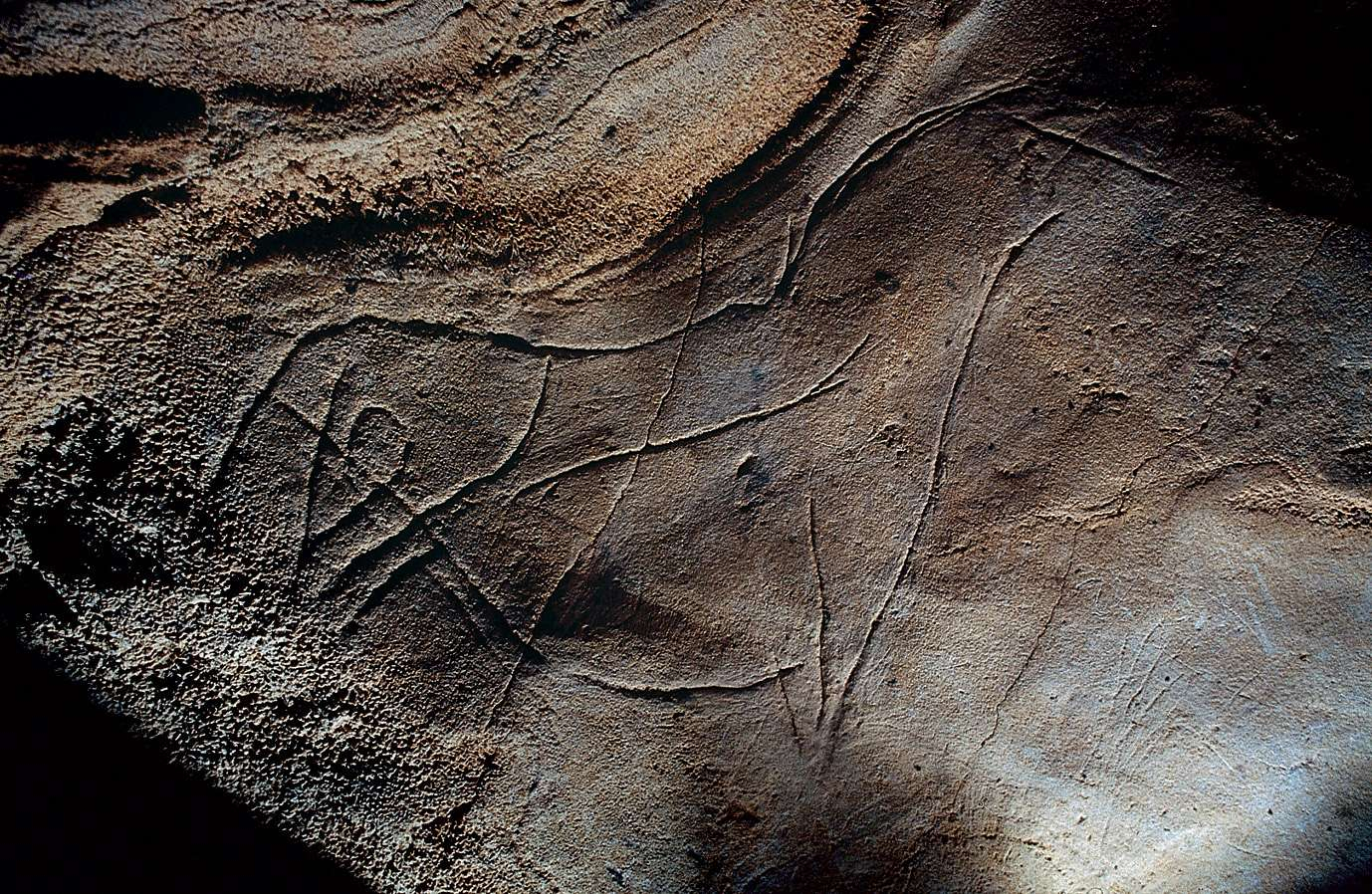 Рисунки пещеры Эль-Кастильо | Интерактивная карта истории