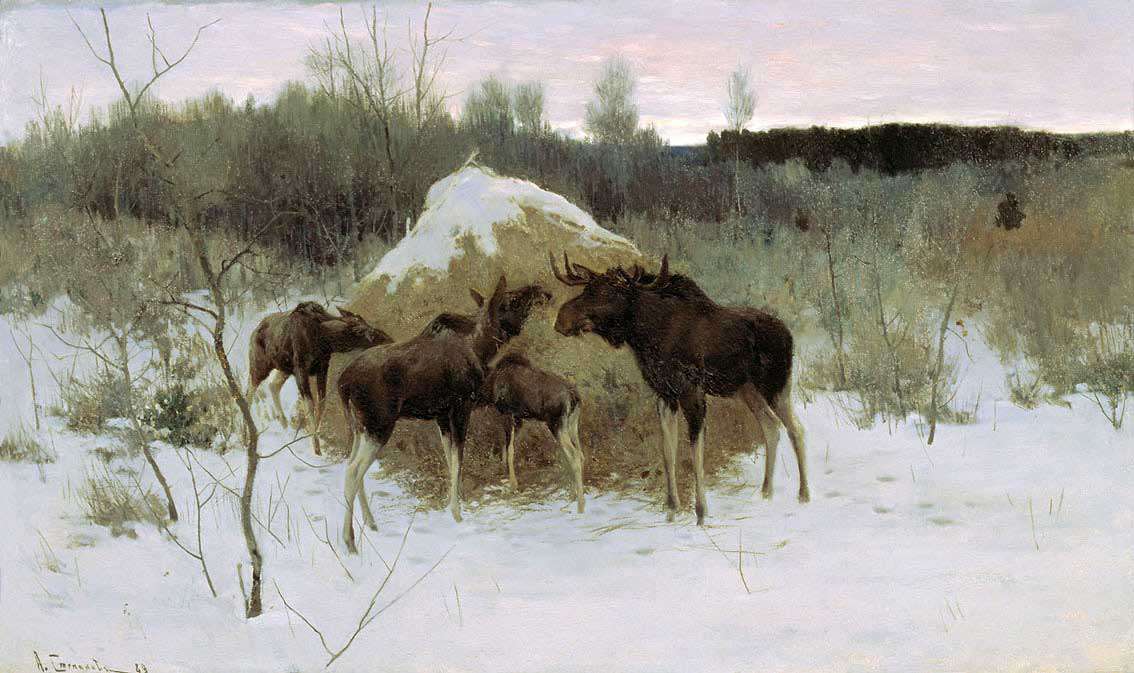 Лоси