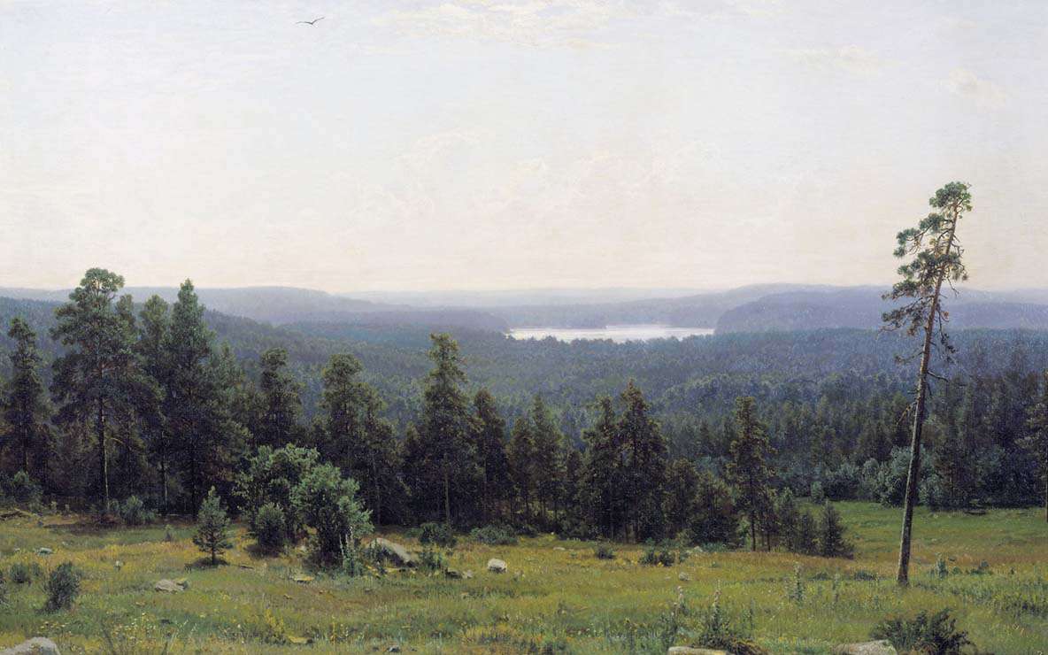 Лесные дали (1884)