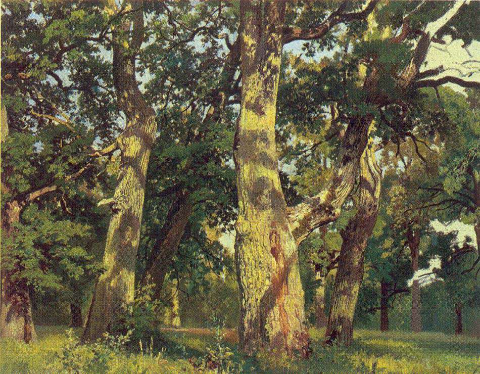 Дубы. Вечер (1887)