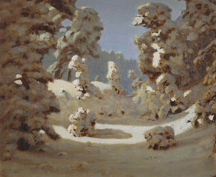Солнечные пятна на инее (1876 - 1890)