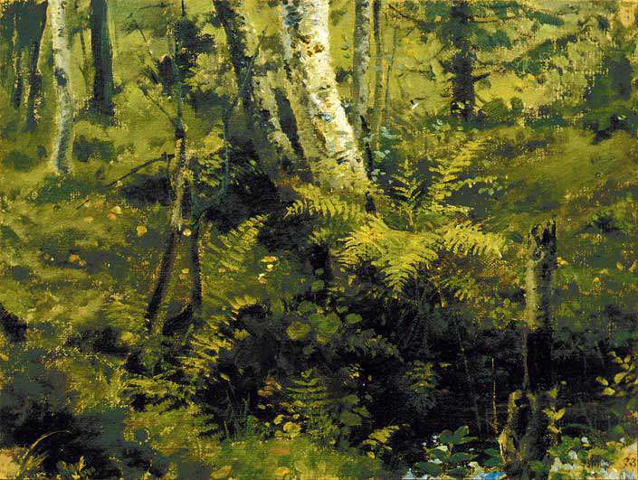 Березки и папоротники (1873)