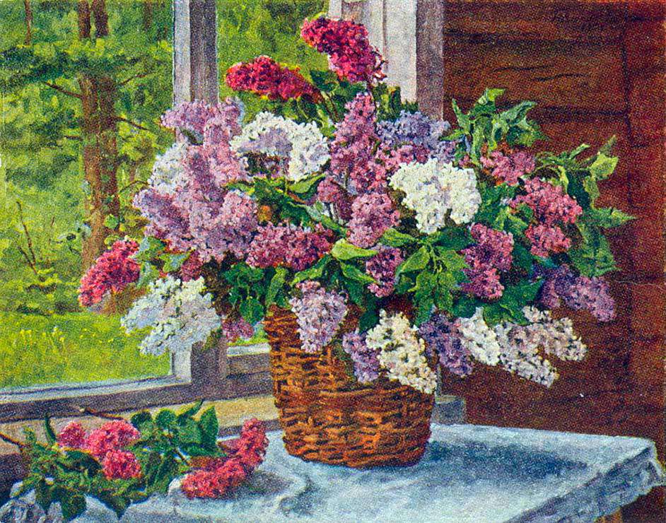 Сирень
