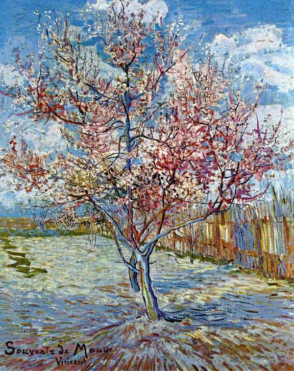 Персиковое дерево (1888)
